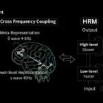 Hierarchical Reasoning Model